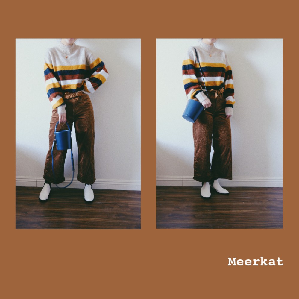 Meerkat